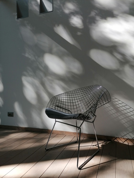 Image 1 of Sedia Diamond Knoll Bertoia