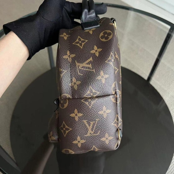 Image 1 of LOUIS VUITTON PALM SPRING MINI - RUCKSACK AUS CANVAS MIT MONOGRAMM