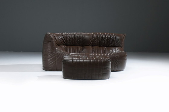 Image 1 of Zeldzame bruine leren Aralia loungebank van Michel Ducaroy voor Ligne Roset Frankrijk