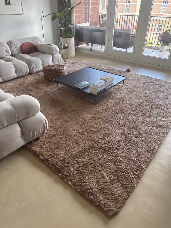 Image 1 of Kleed “Show Off” Frankly Amsterdam