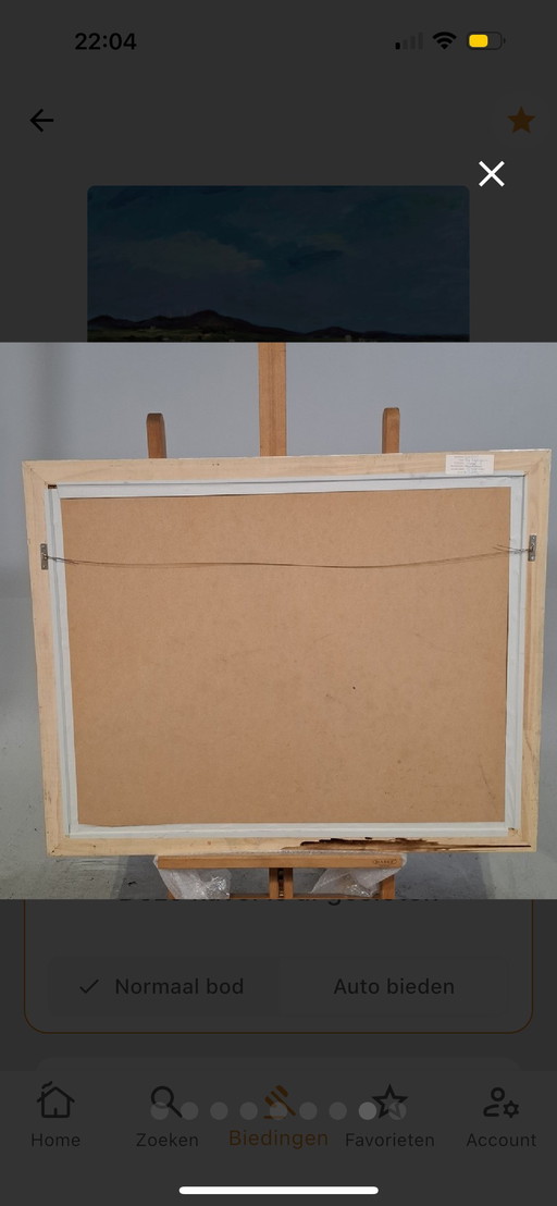 Œuvre célèbre de Maya Wildevuur, 2008, « La Franqui », acrylique 70 x 90 cm