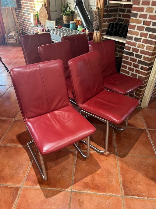 6x designer dining chairs – leather & stainless steel – style Label Vandenberg