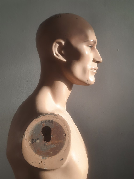 Image 1 of Torso di manichino maschile