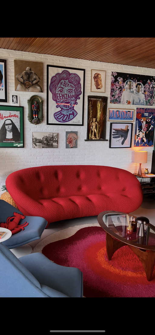 Línea Roset Ploum Vierzit