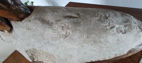 Image 1 of Organic Sculpture "Greyhound" in Solid Wood on a Stone Base – Biomorphic Natural Art