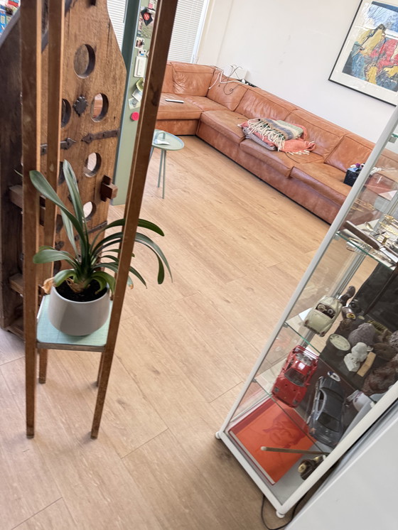 Image 1 of Pflanzensäule