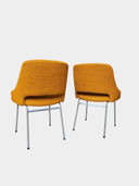 2x FM32 chairs by Cees Braakman for Pastoe