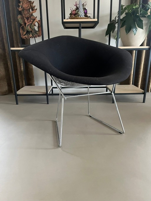 Harry Bertoia ,Knoll International 