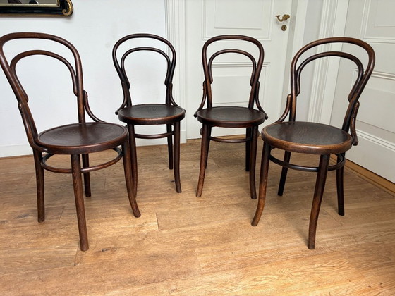 Image 1 of 4x Thonet Nr. 14 Stühle