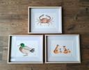 Set 3 Aquarelle Krabbe, Ente und Füchse
