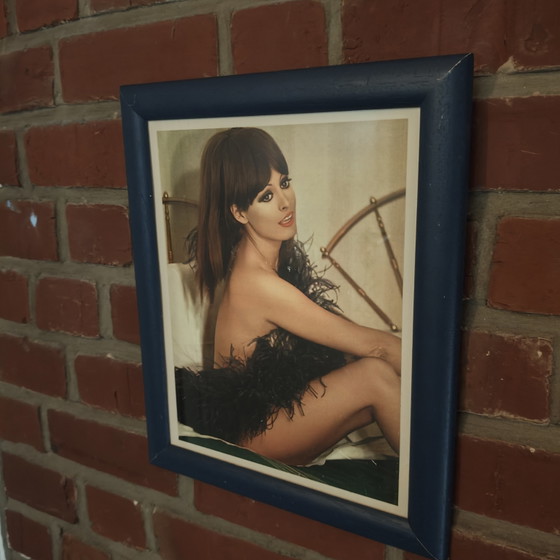 Affiche vintage de pin-up « Katia Kelly » dans un cadre en bois bleu — 1968 – Objets déco, Paper, Wood (photo 5 of 5)