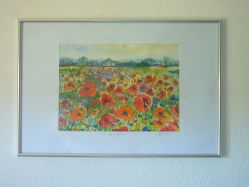 Original watercolor - motif/title: Klatschmohnwiese