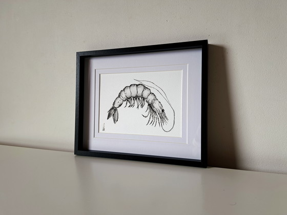 Image 1 of Garnelenillustration | Original und handgefertigt