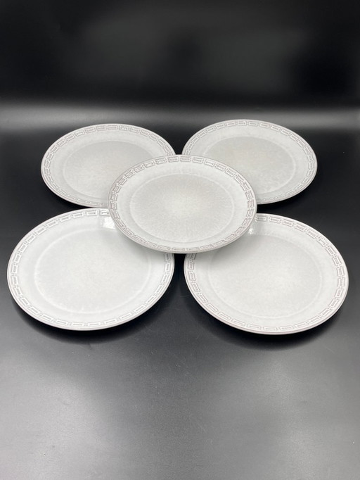 Set of 5 Ceramano dinner plates