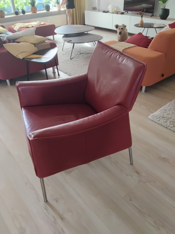 Image 1 of Poltrona Limec del marchio Design on Stock