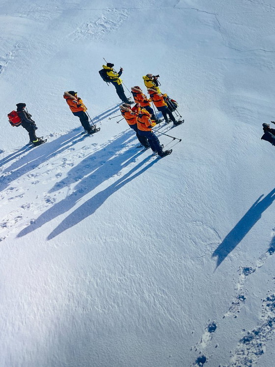 Image 1 of Mike Louagie / 'State Visit' (Antarctica) op hoogwaardig Dibond paneel
