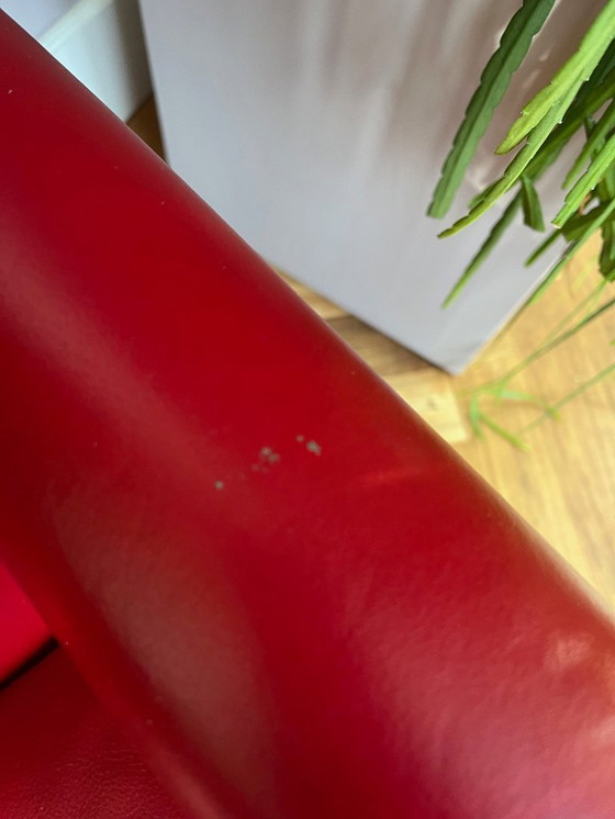 Image 1 of Poltrone Lyra Poltrona Frau n. 5792 e 5793