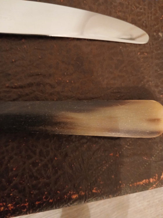 Set van 12 Messen 23 Cm Thiers Hoorn Handvat 1920 1930 – Besteksets, Metal (photo 13 of 14)