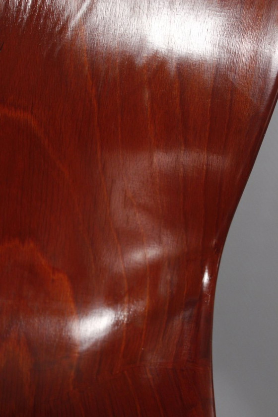 Image 1 of Pagholz & Elmar Flötotto - Model 1507 chair circa 1960