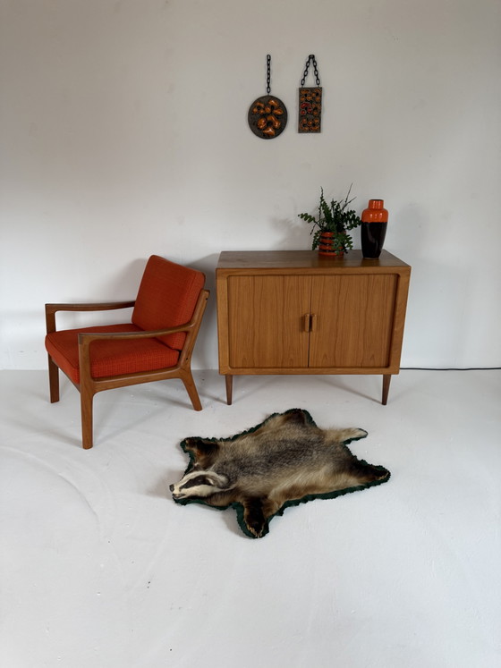 Tacidermie d'un blaireau ‘90 – Objets déco (photo 7 of 7)