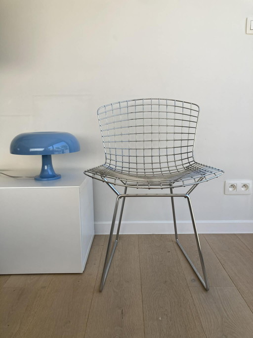 Bertoia chair (knoll)