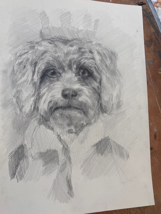 Royal Dog Charcoal Drawing – Paintings & Drawings, Paper (photo 4 of 5)