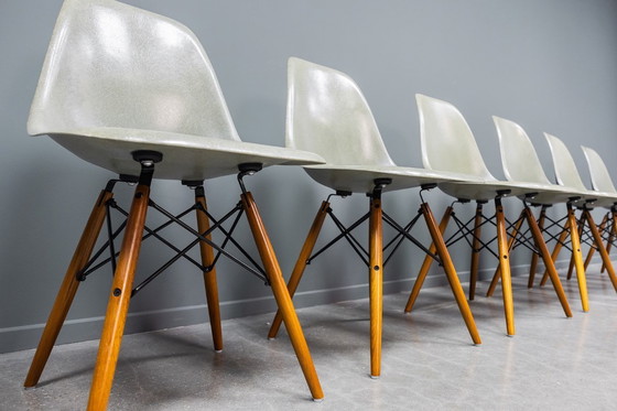 Image 1 of Eames DSW Seafoam Fiberglass stoelen, 6 stuks