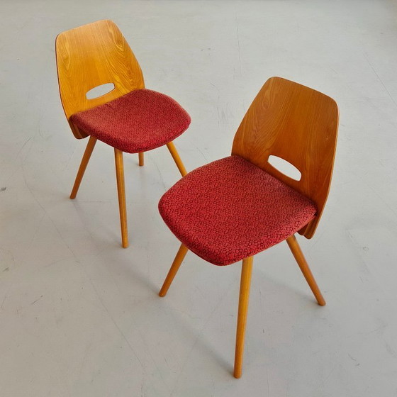 Chaises Mid-Century de František Jirák “Lollipop”, Vintage années 60, Tchécoslovaquie – TON (photo 7 of 12)