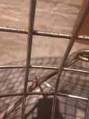 Knoll Bertoia Diamond Chair