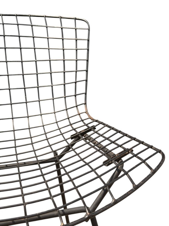 Image 1 of Paire de chaises Harry Bertoia en fil de fer haut de gamme pour Knoll - Acier et coussins d'origine - 1950