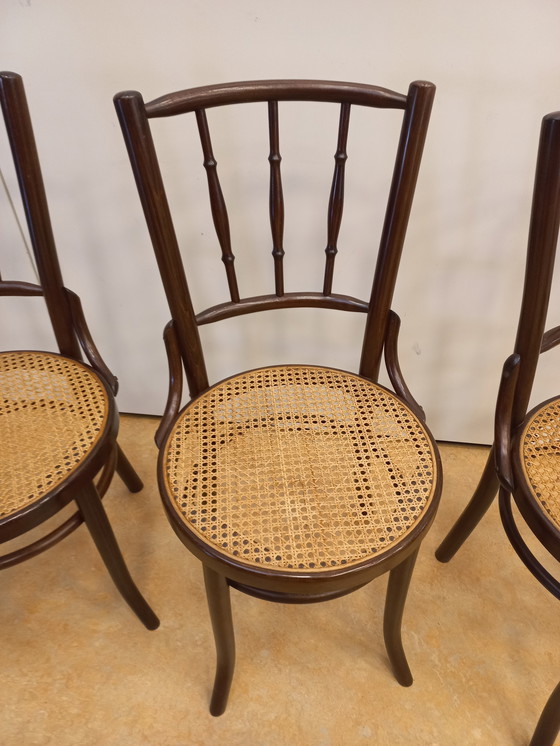 Image 1 of Satz von 3 Café-Stühlen im Thonet-Stil