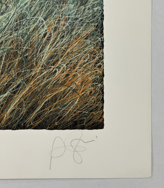 Image 1 of Franco Azzinari zeefdruk, Mediterraan landschap, 60x80cm, moderne kunst