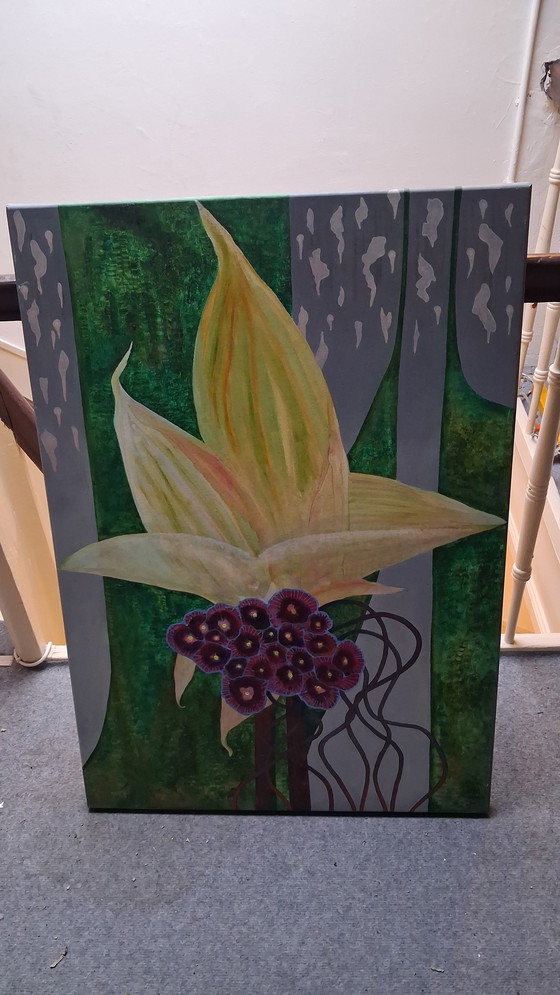 Image 1 of Lilium fructiferum, fruiting lily