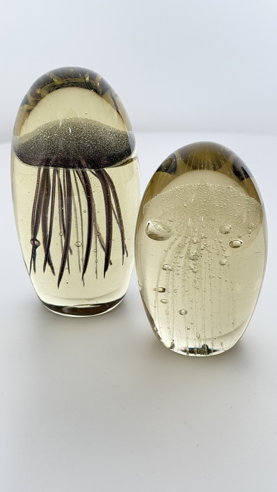 Image 1 of Quallen Briefbeschwerer