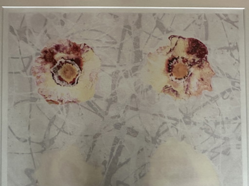 Zeefdruk Rob de Graaf - Chaos is een aparte werkelijkheid IV