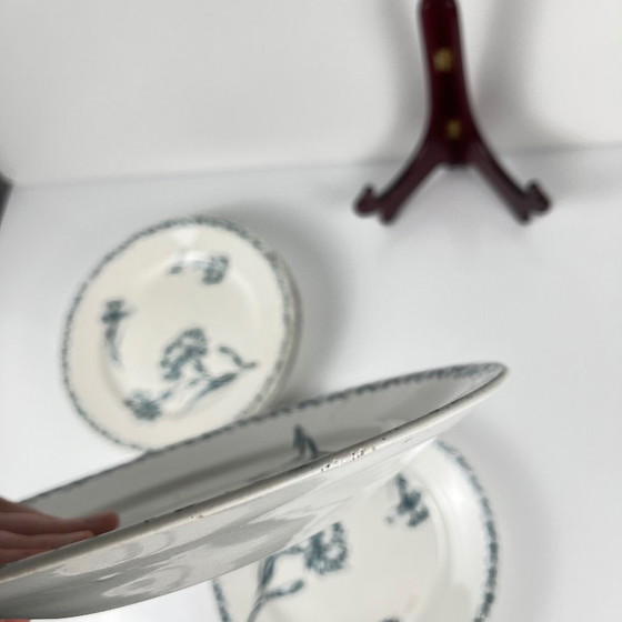 Image 1 of Set of 6 "Carnation" pattern dinner plates, KG Lunéville, ironstone, 19th century