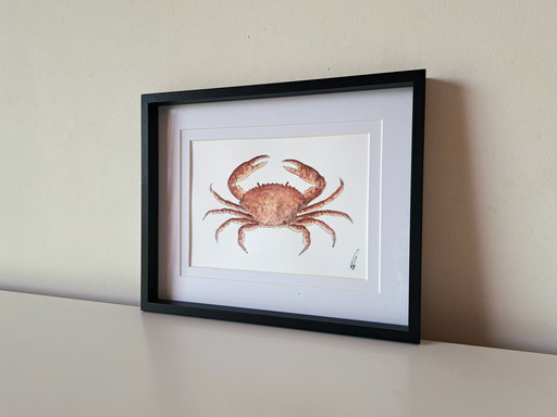 Original watercolor crab in black frame