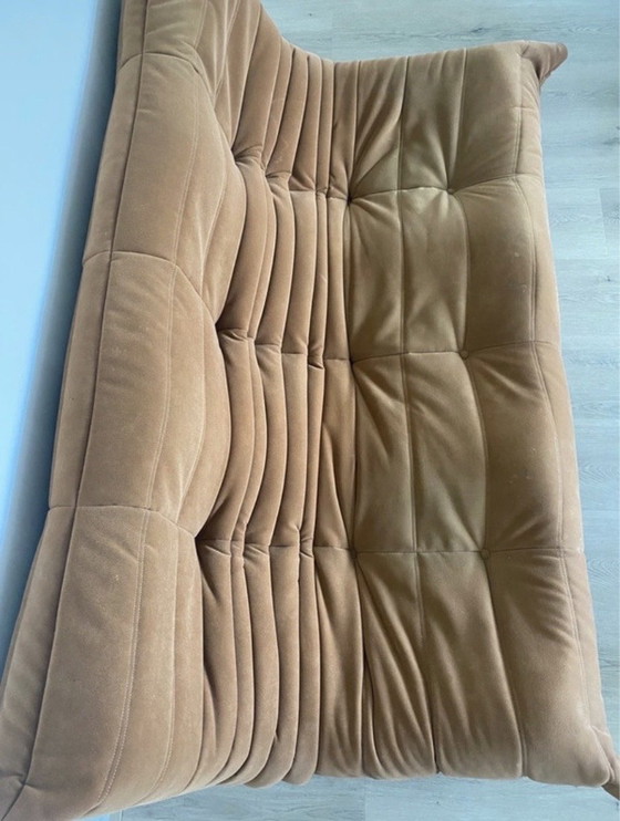 Image 1 of Ligne Roset Togo 3-seater sofa – orange-brown suede – iconic design
