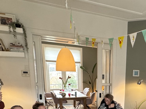 Image 1 of ROVE design industriële hanglamp