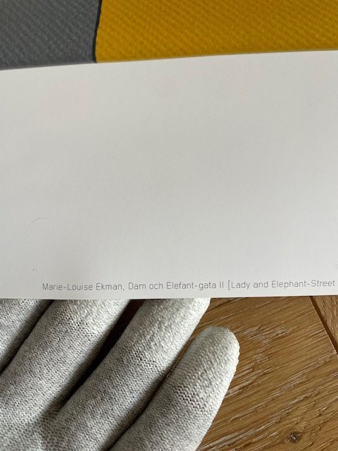 Image 1 of Marie-Louise Ekman, Lady and Elephant Street II, 2007, Copyright Marie-Louise Ekman/Image Copyright 2017