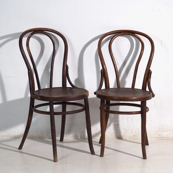 Pair of antique bentwood chairs in the Thonet style – Central Europe, circa 1900 – Dining chairs (photo 8 of 40)