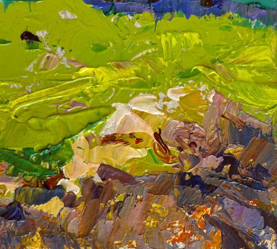 Image 1 of Original Oil Painting Spring Field Landscape In the spring meadows