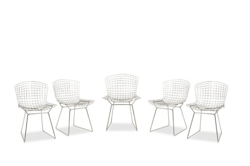 Harry Bertoia para Knoll. Juego de 5 sillas. Década de 1970.