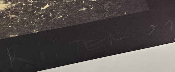 Image 1 of Andrei Roiter - Gran serigrafía enmarcada y firmada a mano