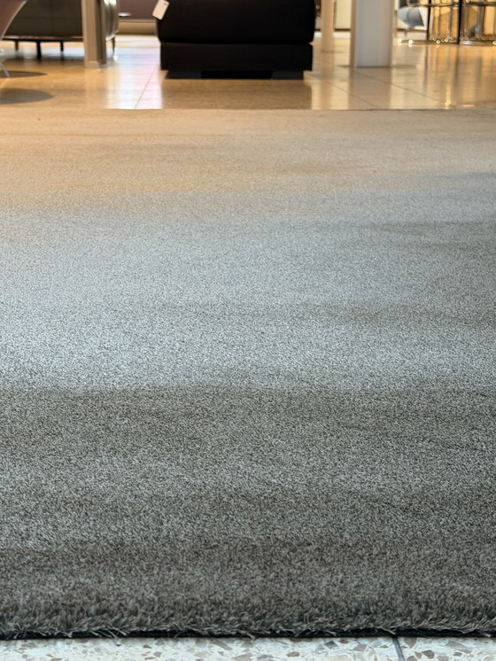 Image 1 of Brink and Campman Longbarn Ripe Mix Carpet