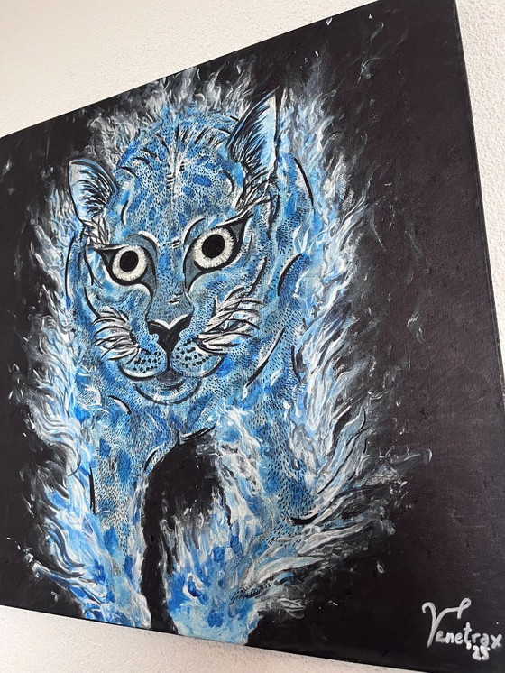 Image 1 of Herz der Nacht