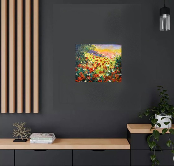 Image 1 of Rote Mohnblumen im Sommer