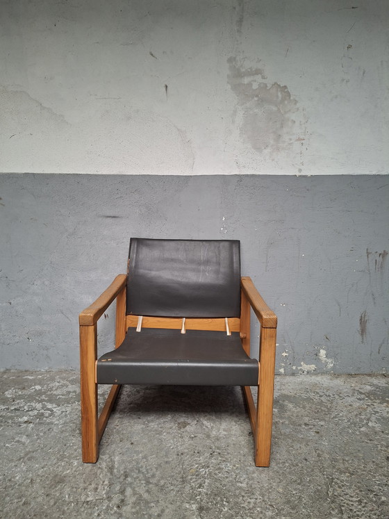 Image 1 of Karin Mobring, responsabile del safari