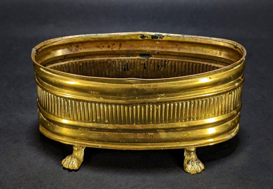 Small 19th Century Brass Planter – Plant pot, Metal (photo 3 of 6)