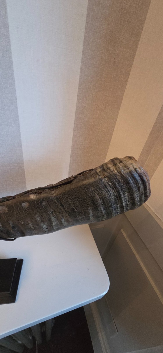 Image 1 of Large carved buffalo horn on a base (ref 4168)